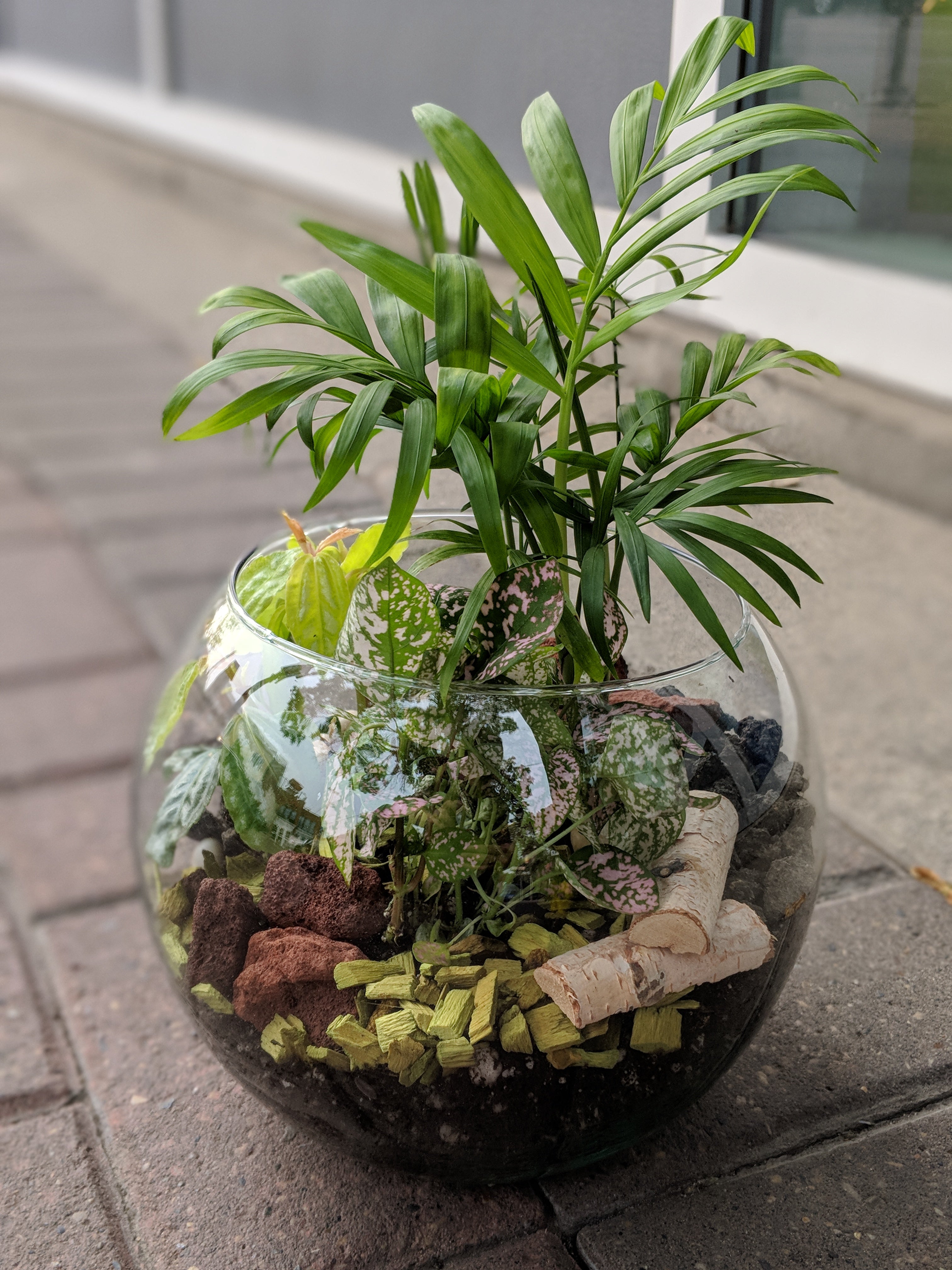 Tropical Plant Terrarium Workshop