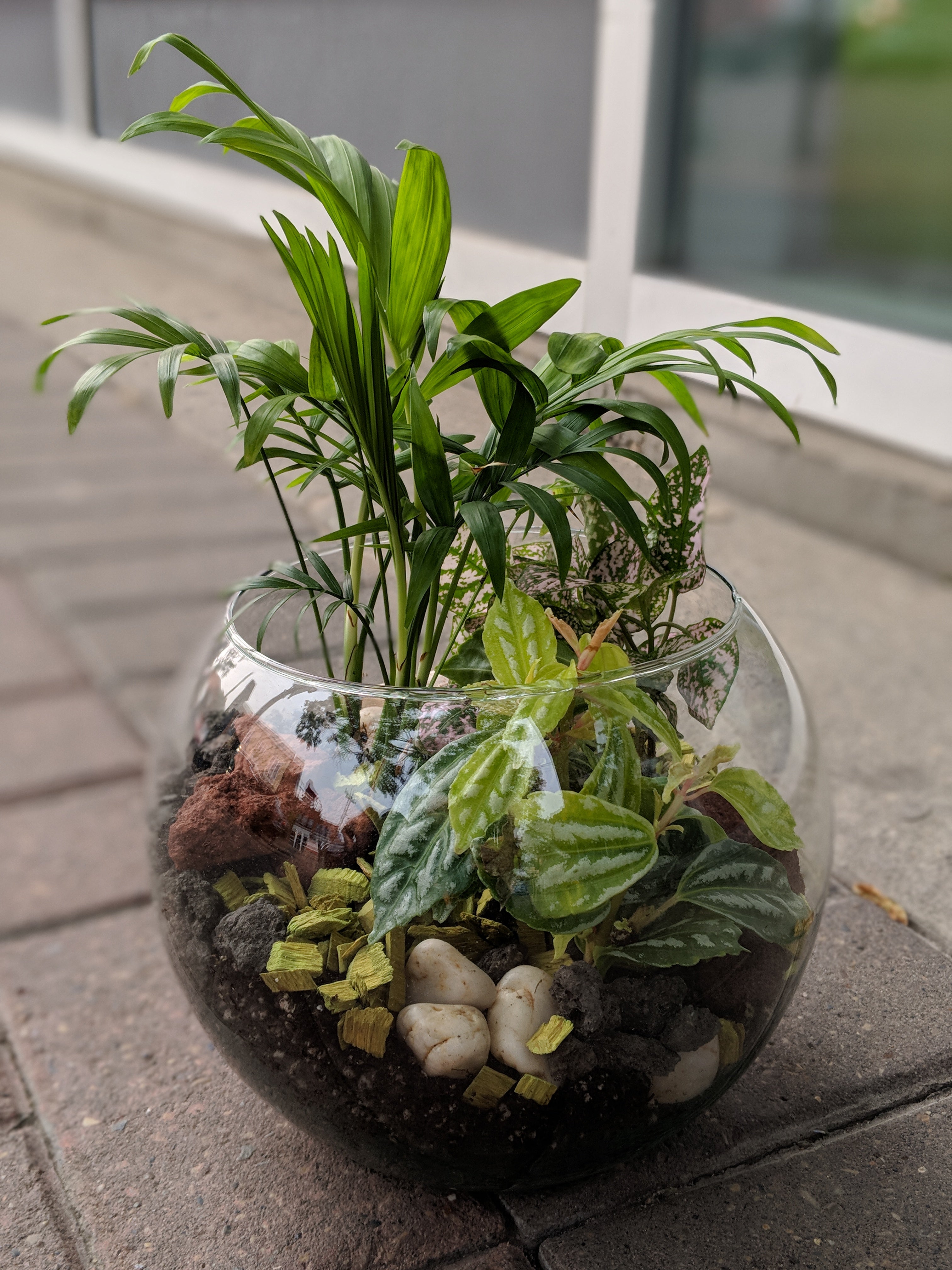 Tropical Plant Terrarium Workshop