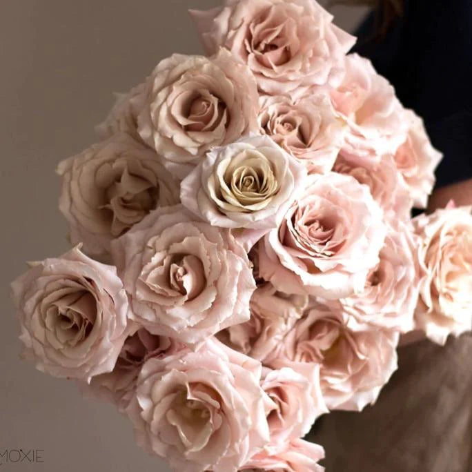 A Dozen Classic Roses Arranged in a Vase