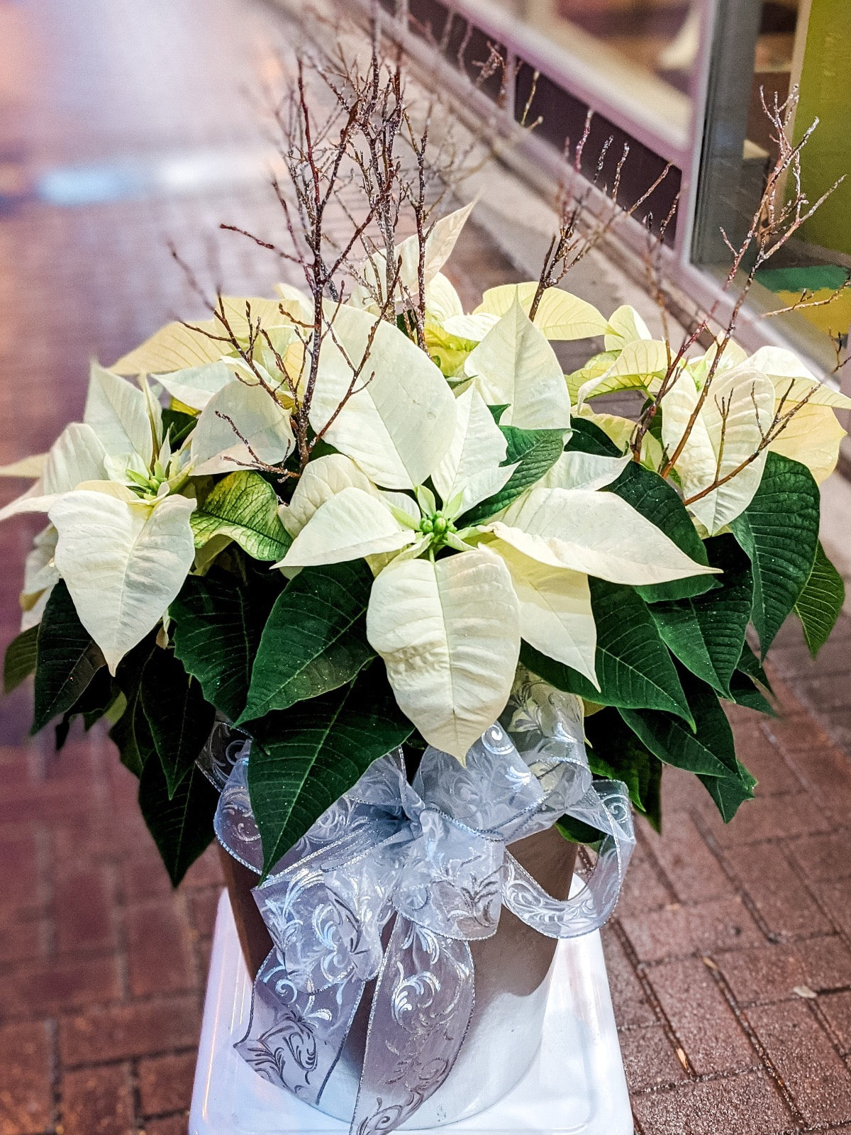 Festive Poinsettia Planter