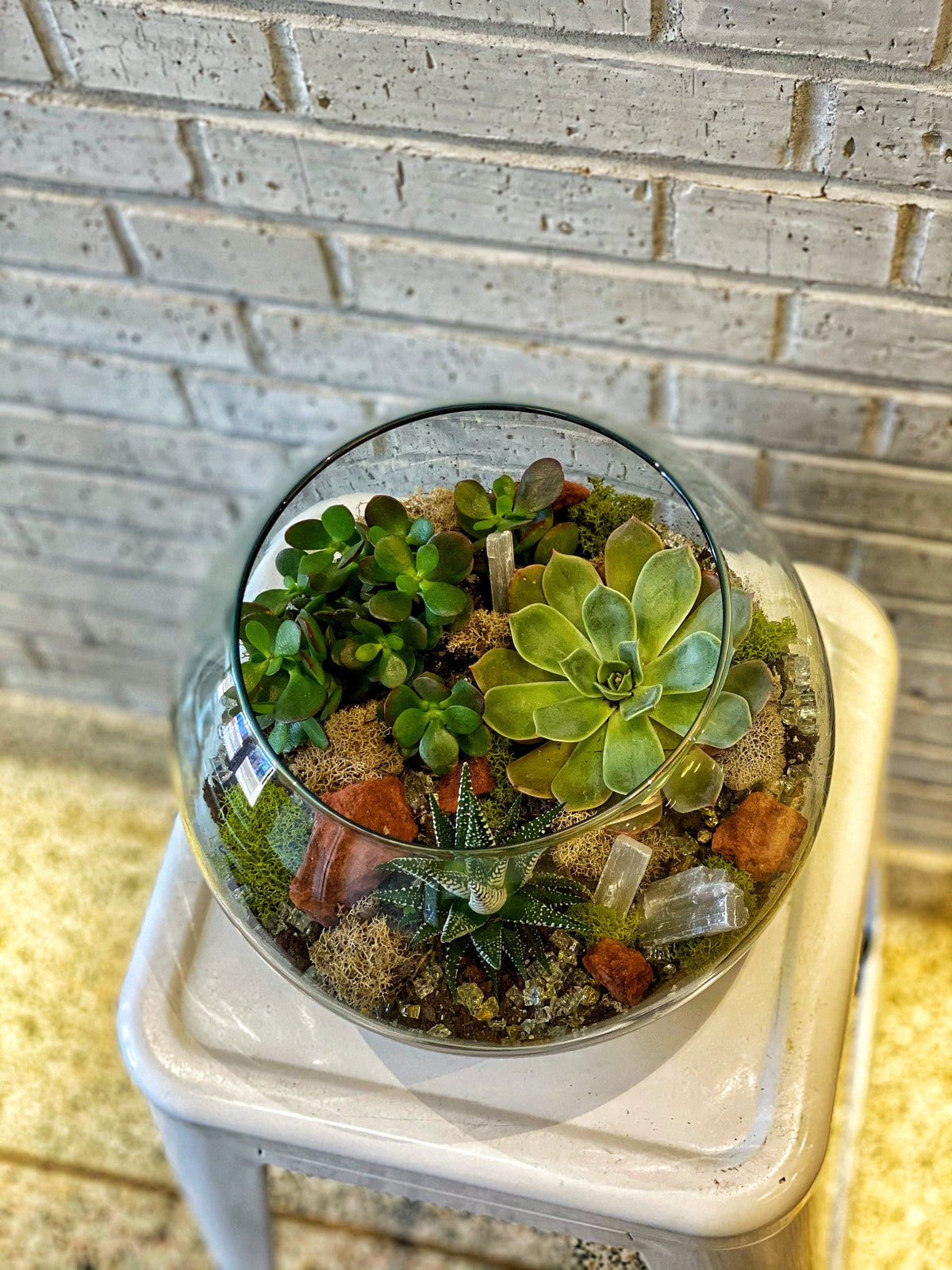 succulent terrarium delivery Laurel's Succulent Terrarium