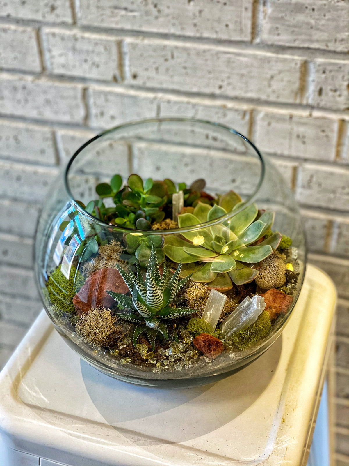 succulent terrarium for sale Laurel's Succulent Terrarium