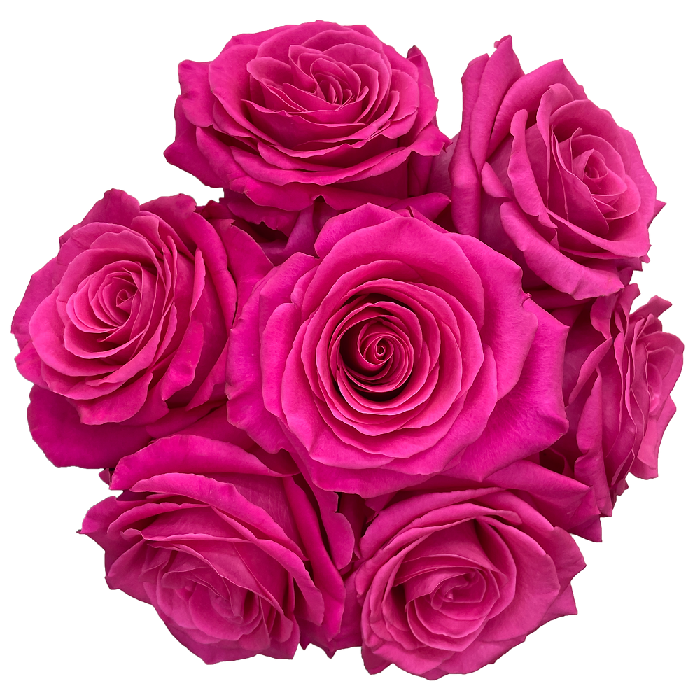 A Dozen Classic Roses Arranged in a Vase