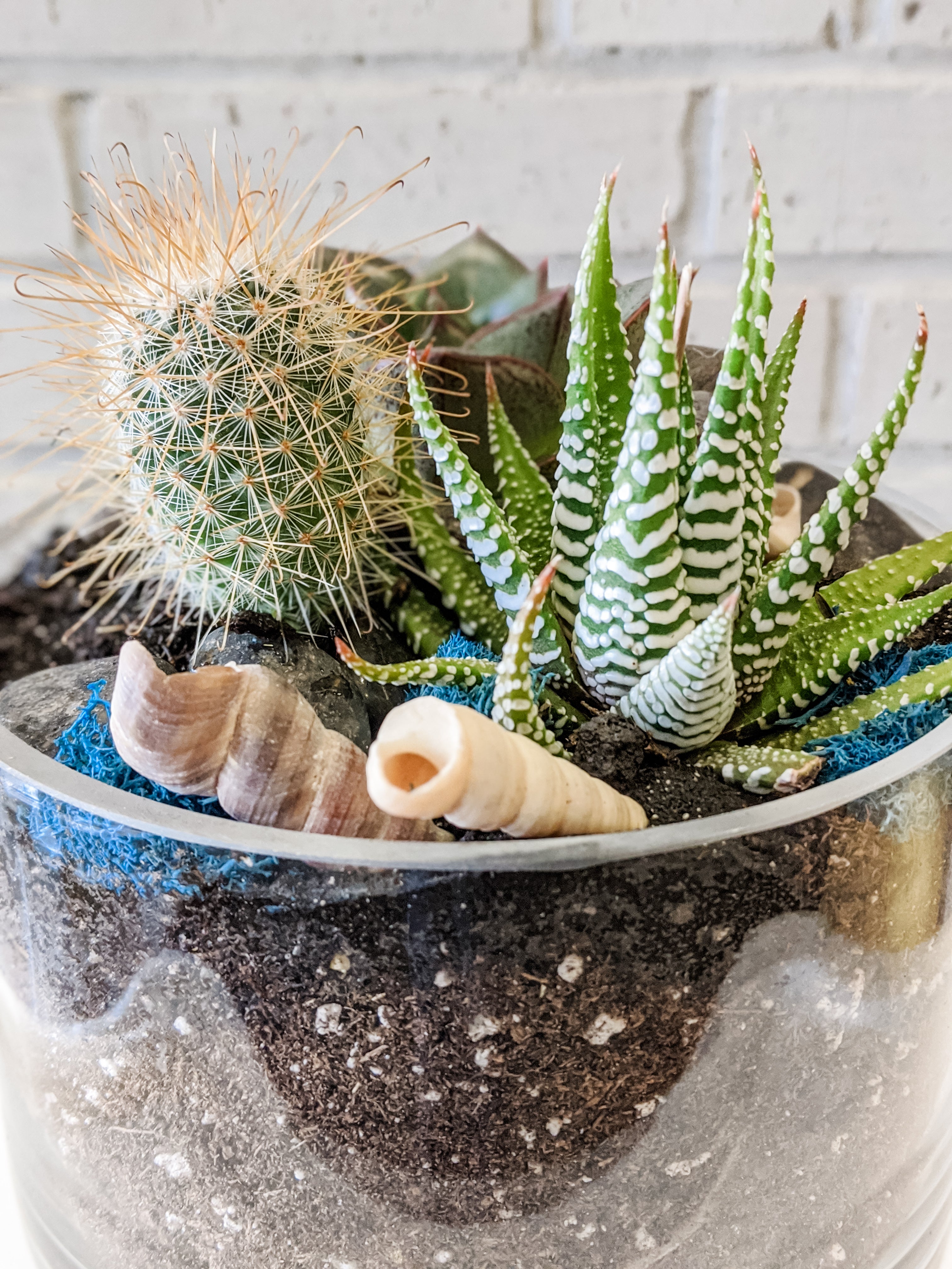 Laurel's Desert Planter